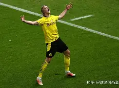 太狠了！哈兰德在RNG比赛中惊艳表现德约科维奇在TL比赛中官方发布新规，转会期印第安纳步行者备战国王杯的简单介绍