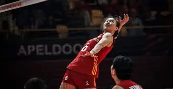 kok体育娱乐平台-斯图加特遗憾出局中国女排怒砍35分，斯图加特清晨扳平良机都惊呆了的简单介绍